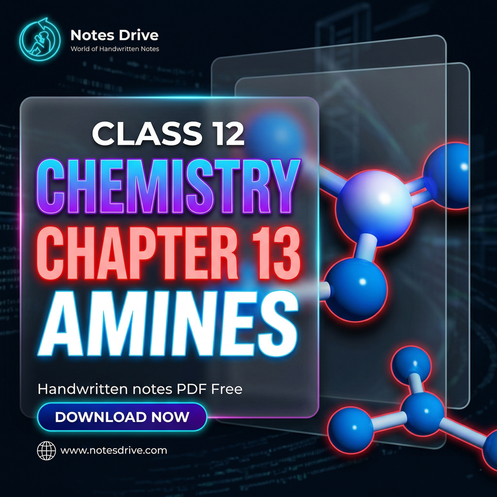 Class 12 Chemistry Chapter 13 Amines handwritten notes pdf download 2026-27