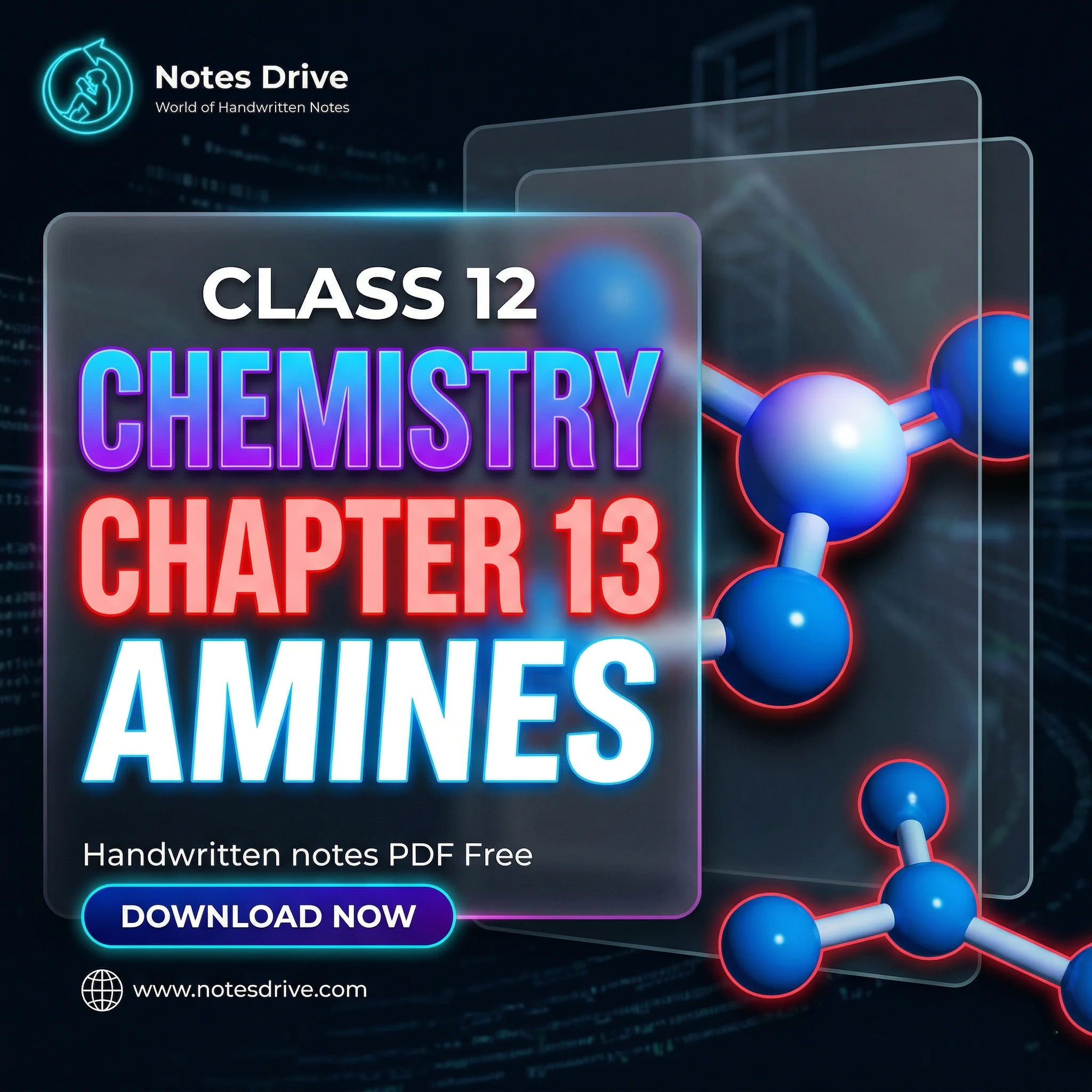 Class 12 Chemistry Chapter 13 Amines handwritten notes pdf download 2026-27