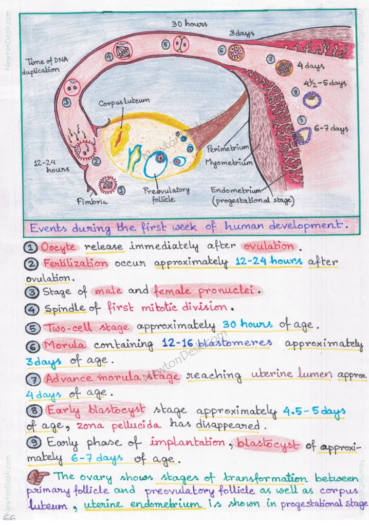 Pages from Biology 12th Page 4.png