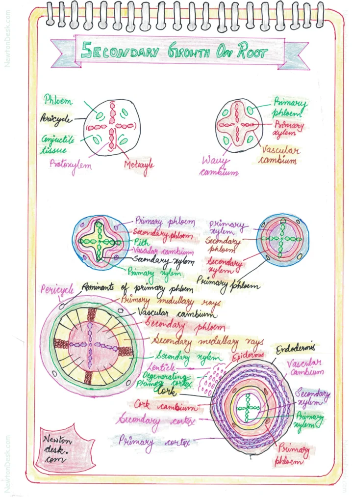 Pages from Botany 11th Page 8.png 2