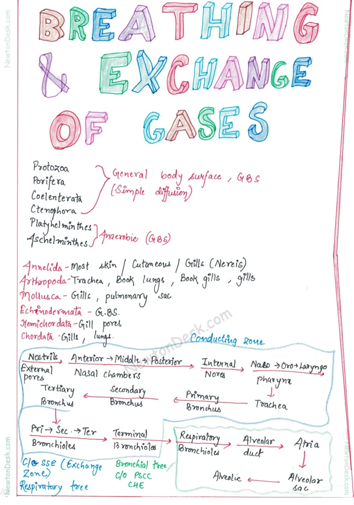 Pages from Zoology 11th Page 4.png 1