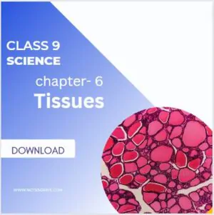 chapter 6