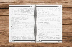 Class 10 Political Science Handwritten Printed Notes (Wiro Bound) | Mind Maps & Chapter-wise Question Papers | CBSE Board Exam Preparation | Notes Drive - Image 5