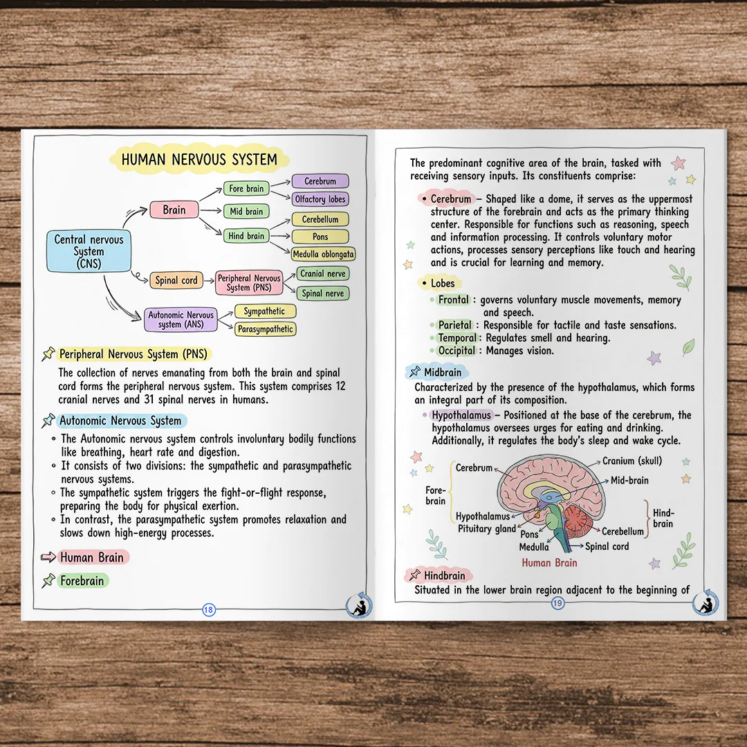 Class 10 Science colorful printed short Notes 2025-26 | NCERT | Notes Drive - Image 3