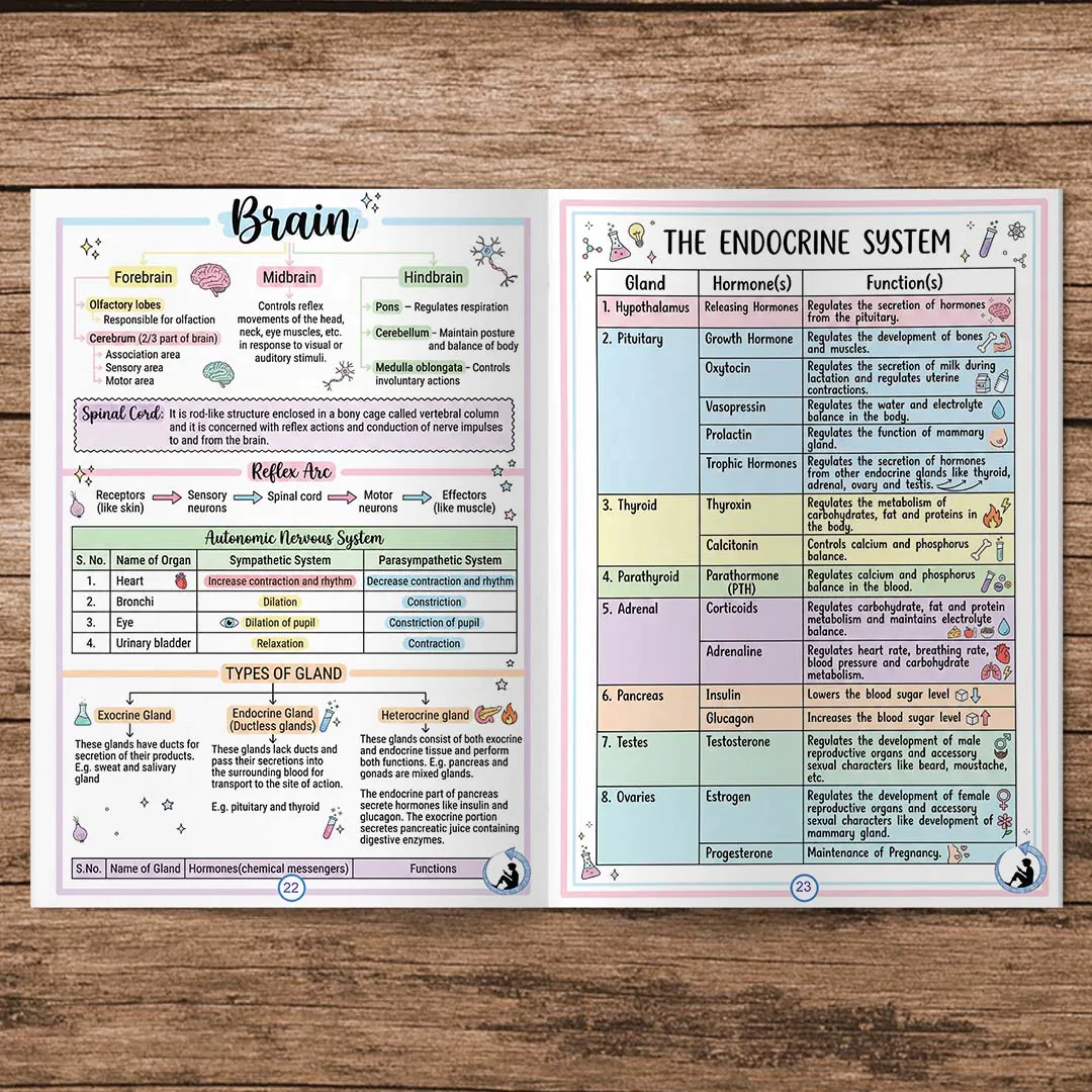 Class 10 Science Short Notes & Maths Formula Sheet Colorful Printed Book (Combo) | NCERT Based | Notes Drive - Image 4