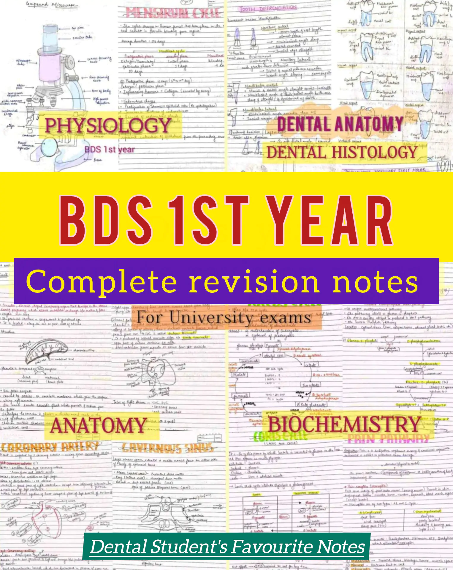 BDS 1st year ALL SUBJECTS handwritten notes of ANATOMY, PHYSIOLOGY, BIOCHEMISTRY, and DADH. Revision notes for University exams 💯 PDF