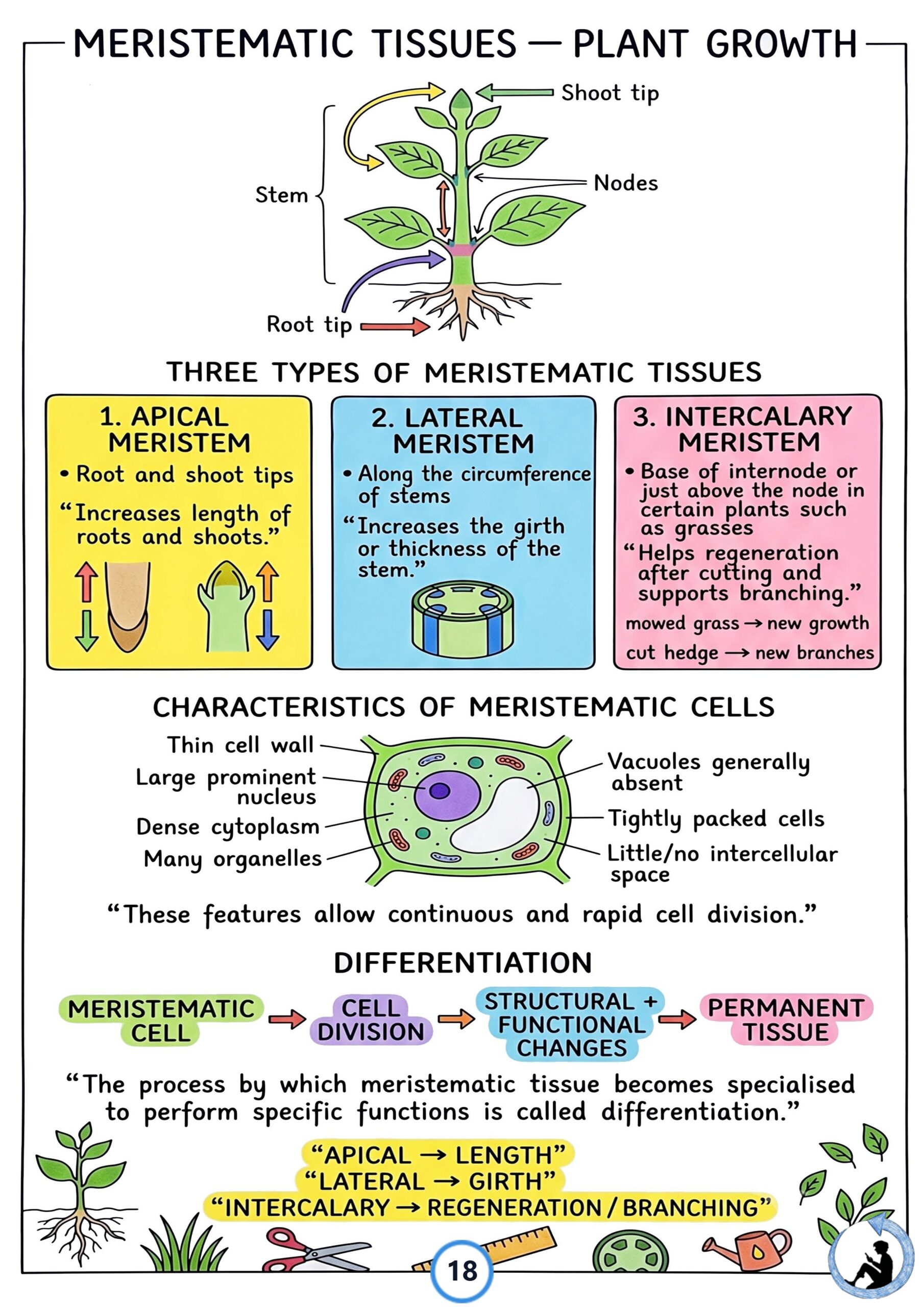 Class 9 Science Complete Notes 2026-27 | PDF Notes | New NCERT Textbook | Physics, Chemistry & Biology - Image 5